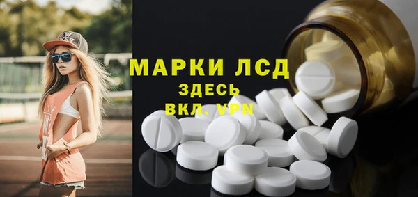 сатива Медногорск