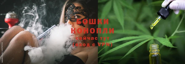 сатива Михайловка