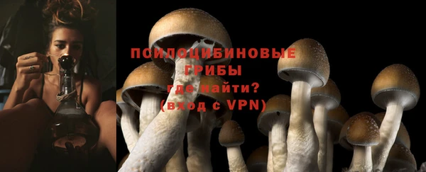 сатива Медногорск