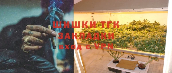 сатива Михайловка